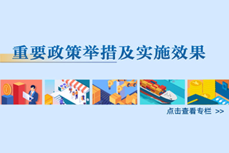 重要政策举措及实施效果