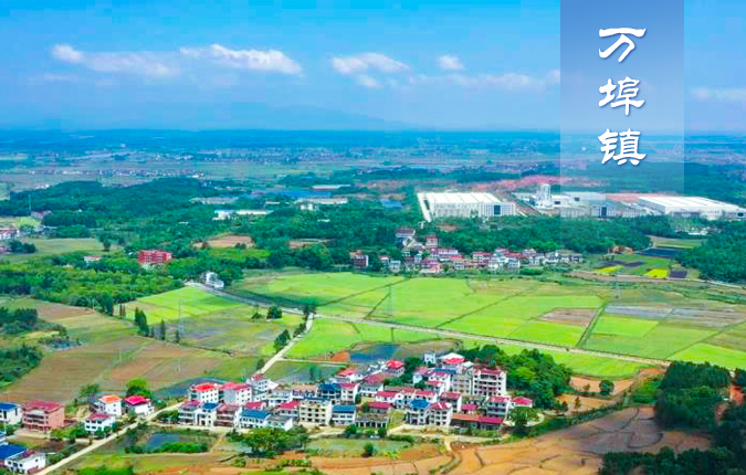 万埠镇情简介
